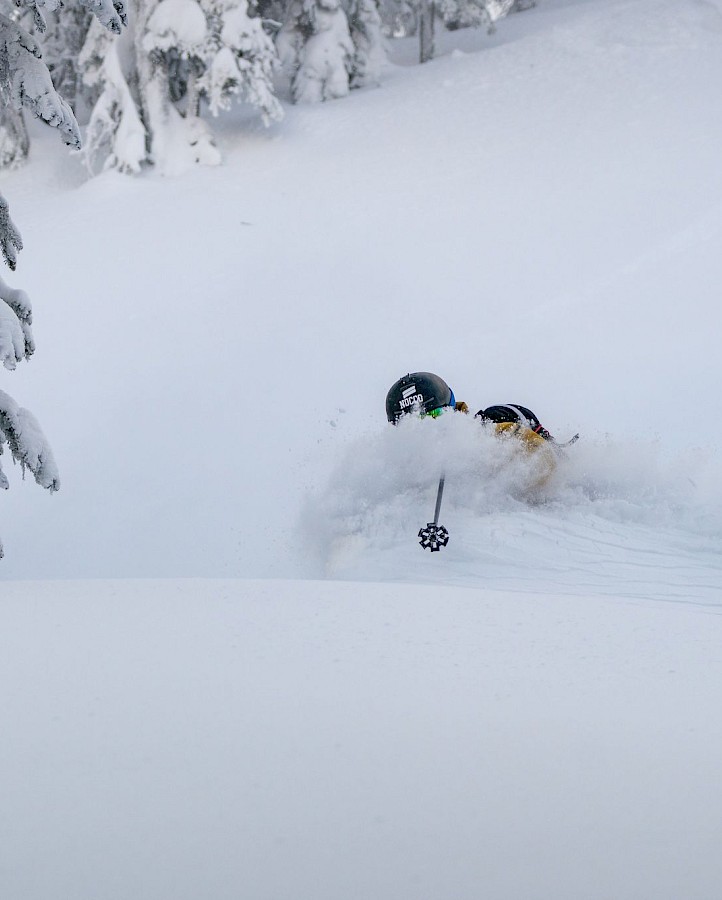 Deep powder at Stellar Heliskiing.