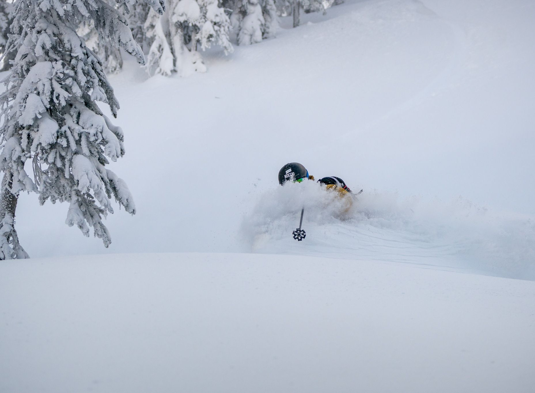 Single day heli ski trip in Kaslo, BC.