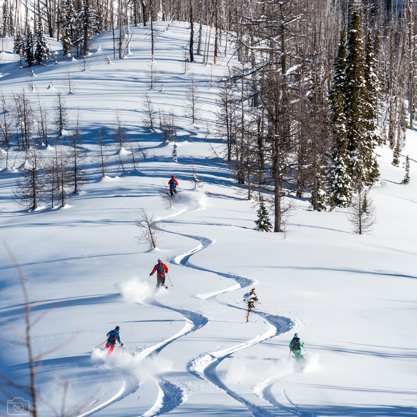 Small group untracked powder skiing at Stellar Heliskiing.