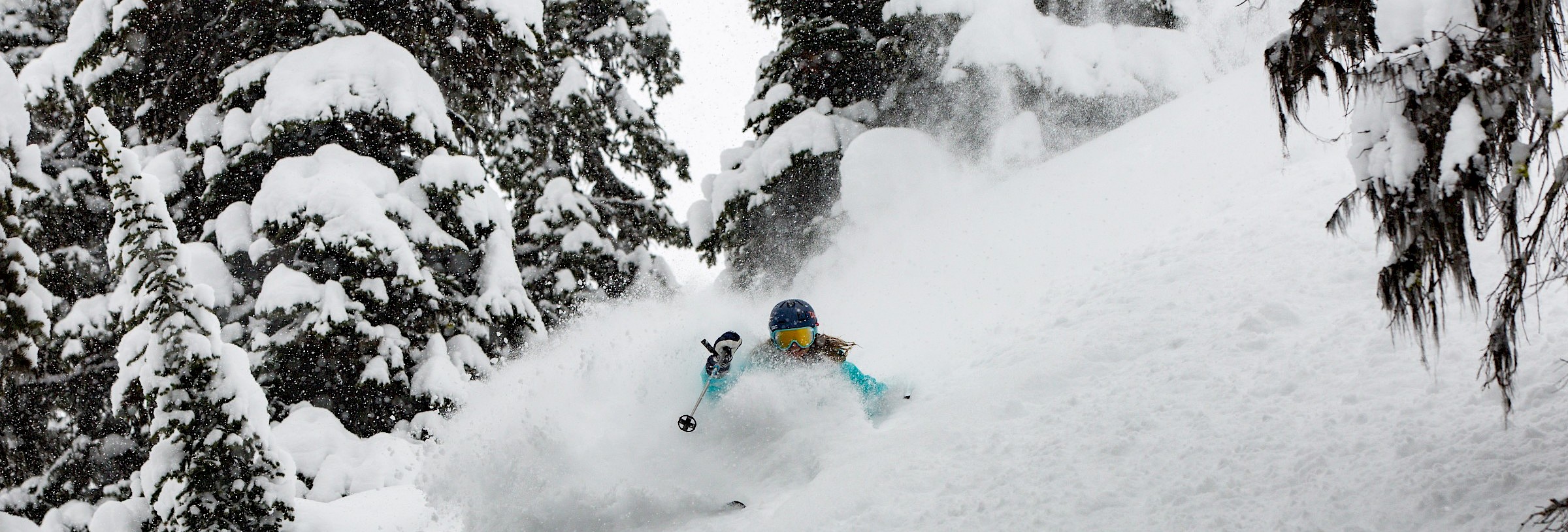 Guest enjoying deep powder and tree skiing at Steelar Heliskiing.