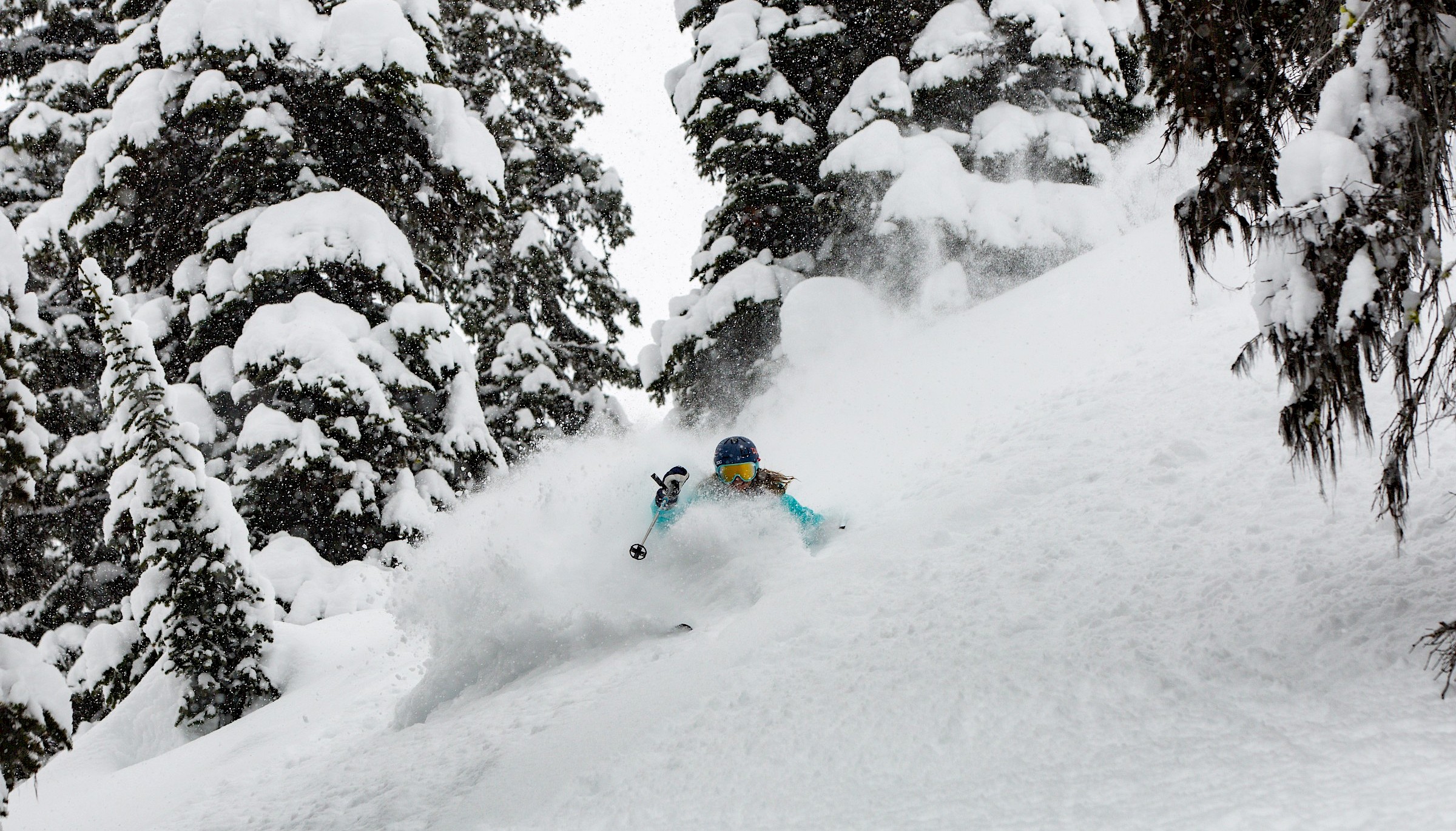 Storm tree skiing at Stellar Heliskiing.